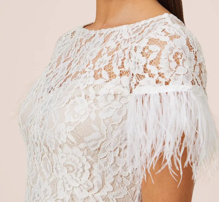 Adrianna Papell Floral Lace And Feather Trimmed Short Sheath Cocktail Dress In Ivory Ivory Women Short Dresses Adrianna Papell Floral Lace And Feather Trimmed Short Sheath Cocktail Dress In Ivory Ivory Women Short Dresses
