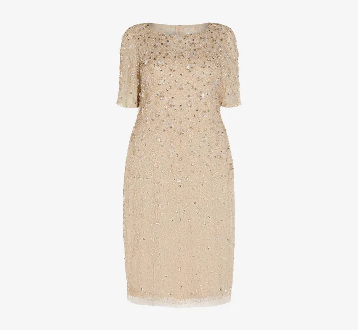 Adrianna Papell Plus Size Beaded Cocktail Dress In Biscotti Biscotti Women Floral Adrianna Papell Plus Size Beaded Cocktail Dress In Biscotti Biscotti Women Floral