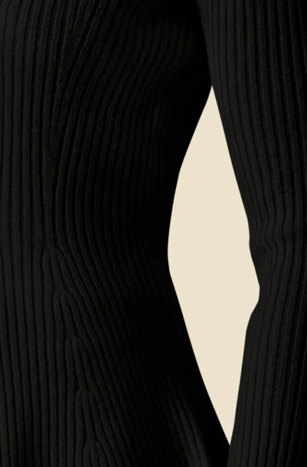 Altuzarra Frankie Knit Sweater Black Women Tops