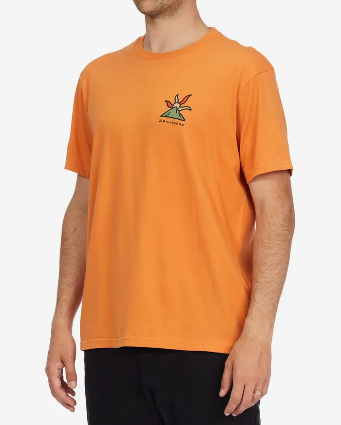 Billabong TShirts Men ADiv Shine Organic Short Sleeve TShirt Apricot Billabong TShirts Men ADiv Shine Organic Short Sleeve TShirt Apricot