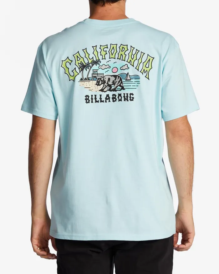 Billabong TShirts Men CA Arch TShirt Coastal Billabong TShirts Men CA Arch TShirt Coastal