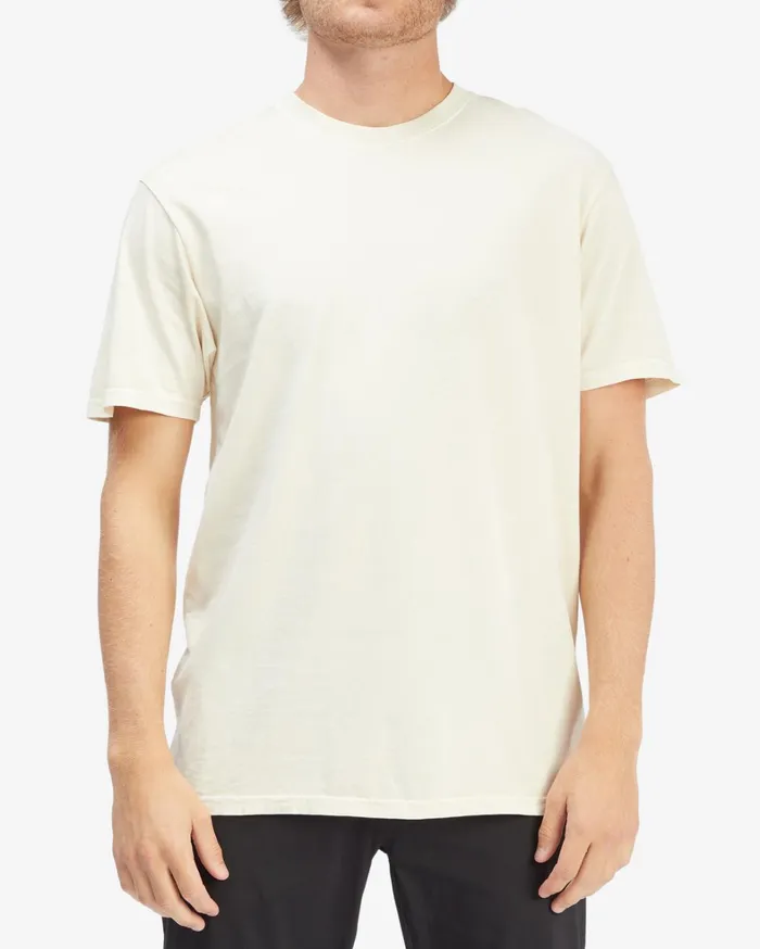 Billabong TShirts Men Essential Wave Washed Short Sleeve TShirt Bone