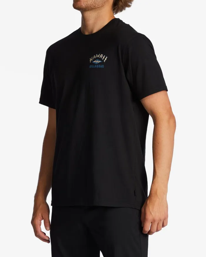 Billabong TShirts Men Hawaii Arch TShirt Black Billabong TShirts Men Hawaii Arch TShirt Black