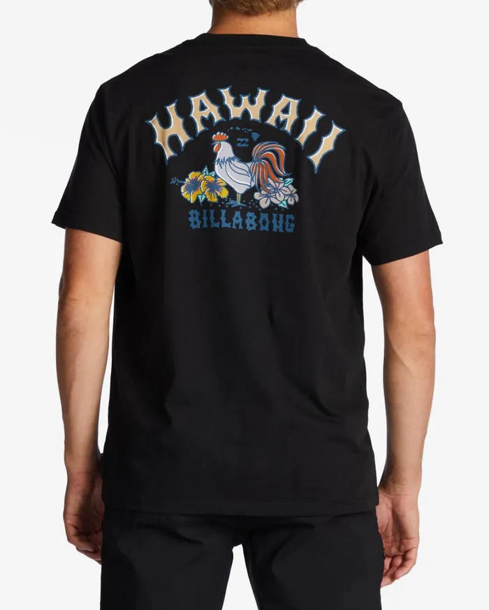 Billabong TShirts Men Hawaii Arch TShirt Black Billabong TShirts Men Hawaii Arch TShirt Black