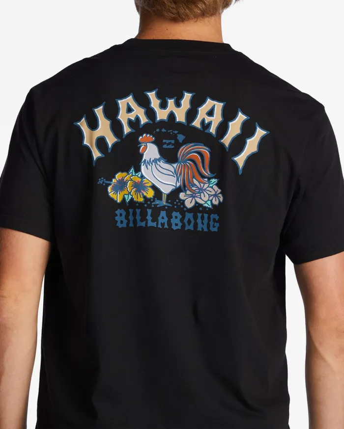 Billabong TShirts Men Hawaii Arch TShirt Black Billabong TShirts Men Hawaii Arch TShirt Black