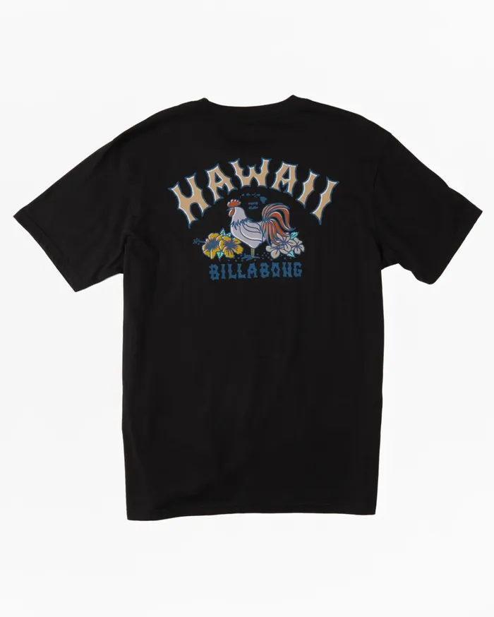Billabong TShirts Men Hawaii Arch TShirt Black Billabong TShirts Men Hawaii Arch TShirt Black