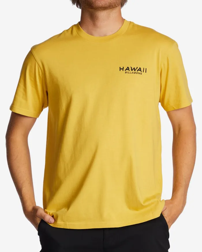 Billabong TShirts Men Hawaii Lookout TShirt Sunny