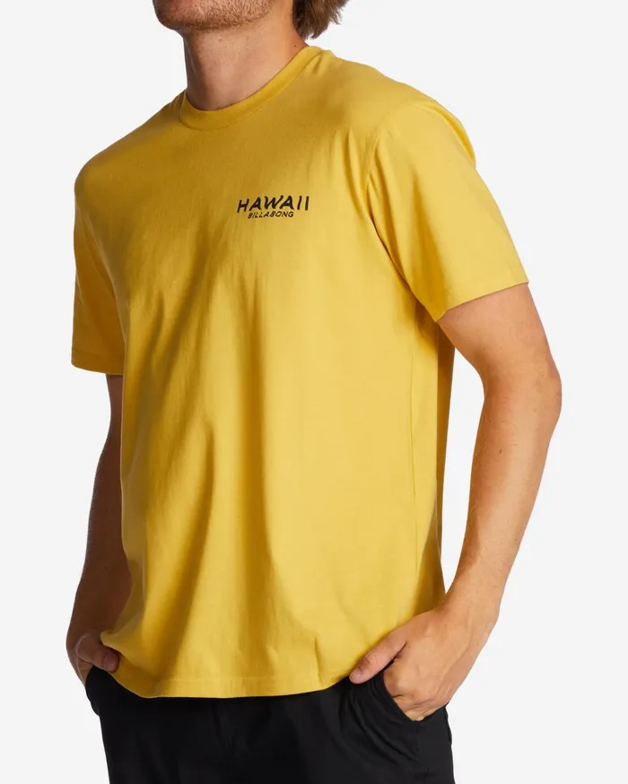 Billabong TShirts Men Hawaii Lookout TShirt Sunny Billabong TShirts Men Hawaii Lookout TShirt Sunny
