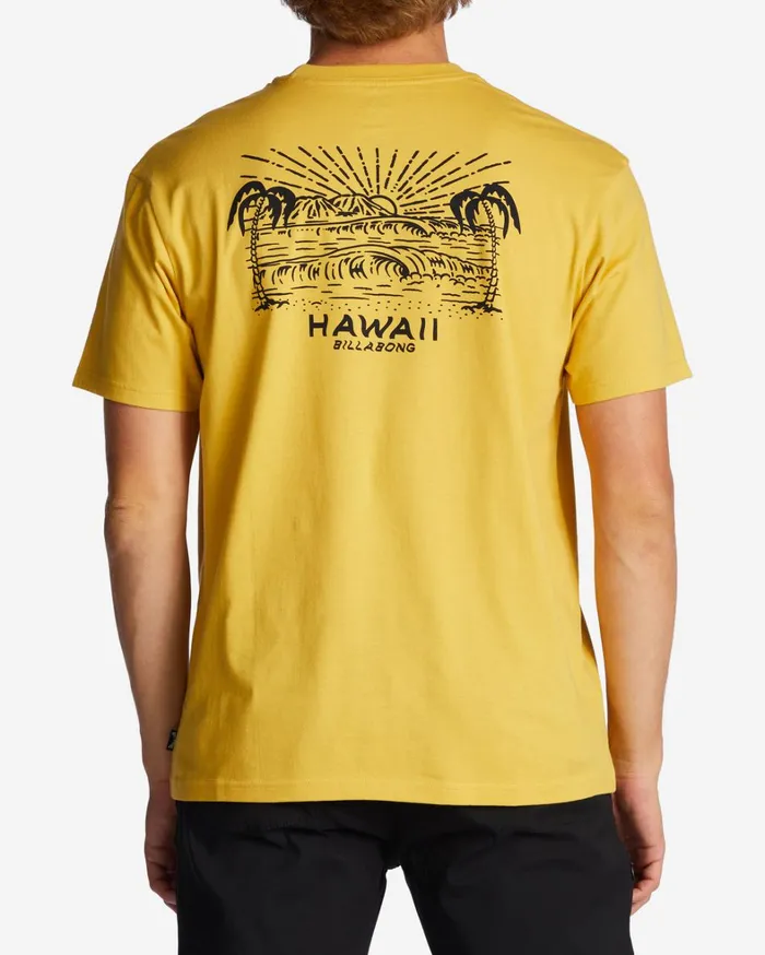 Billabong TShirts Men Hawaii Lookout TShirt Sunny Billabong TShirts Men Hawaii Lookout TShirt Sunny