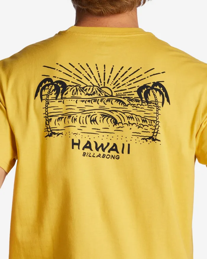Billabong TShirts Men Hawaii Lookout TShirt Sunny Billabong TShirts Men Hawaii Lookout TShirt Sunny