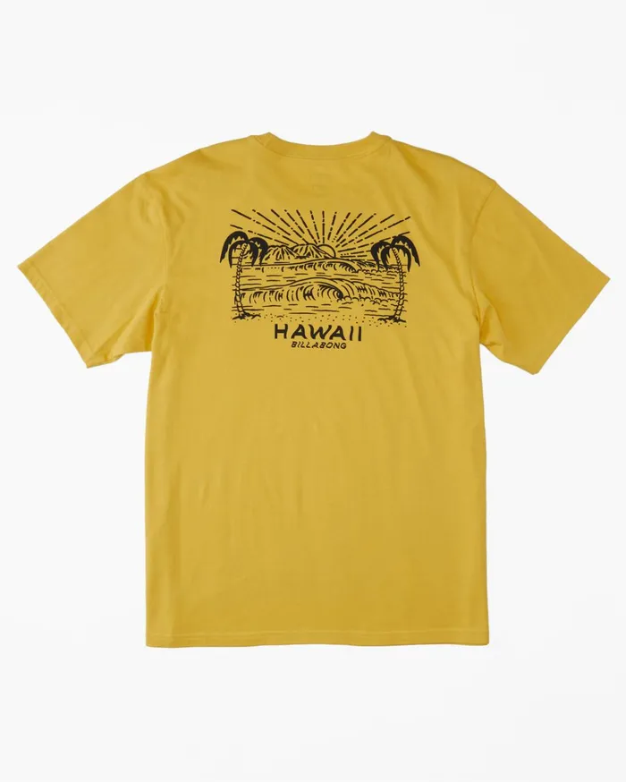 Billabong TShirts Men Hawaii Lookout TShirt Sunny Billabong TShirts Men Hawaii Lookout TShirt Sunny