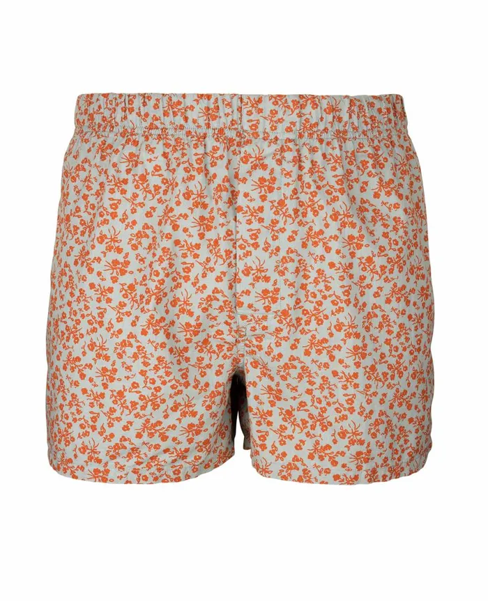 Men039s Woven Boxer Pale Slate Forager Print ToadandCo Underwear and Accessories