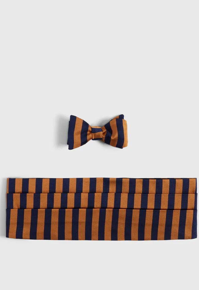 Paul Stuart Accessories TwoTone Striped Bow Tie And Cummerbund Set Bluewhite 8211 Men