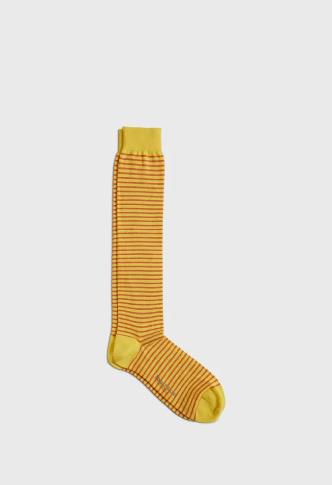 Paul Stuart Socks Horizontal Stripe Sock Navy 8211 Men