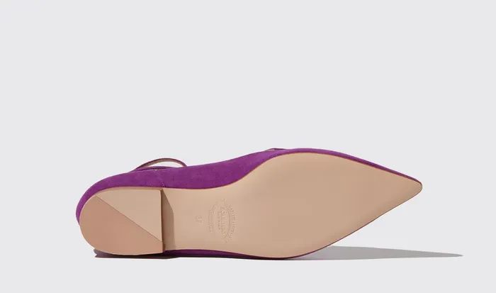 Scarosso Ballerinas Gae Viola Scamosciata Violet 8211 Suede 8211 Women