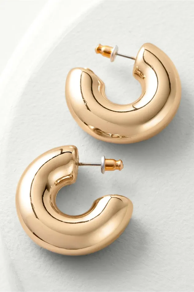 Soft Surroundings Julianna Hoop Earring Polished Silver Women Jewelry
