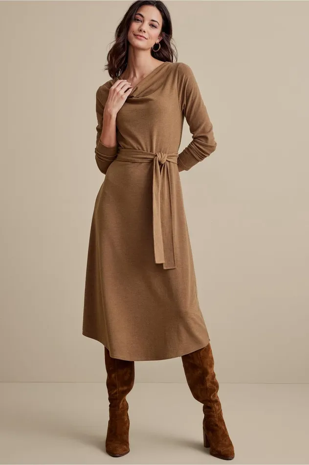 Soft Surroundings Paula Dress Cocoa Brown Women Dresses