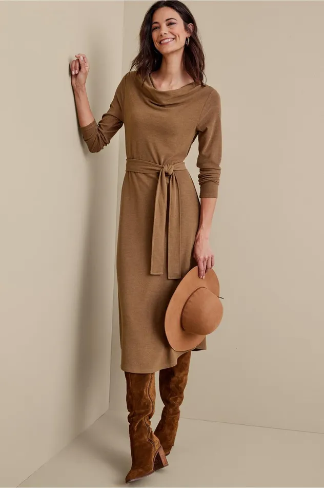 Soft Surroundings Paula Dress Cocoa Brown Women Dresses Soft Surroundings Paula Dress Cocoa Brown Women Dresses