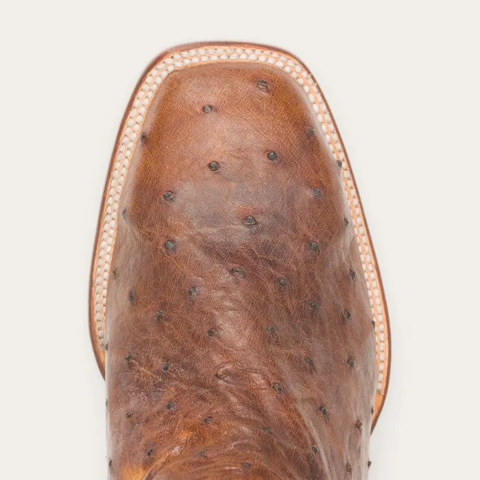 Stetson Exotics Men Jackson Boots Brown