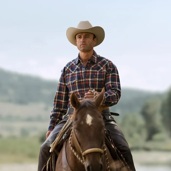 Stetson Western Shirts Men Brushed Twill Plaid Shirt Blue