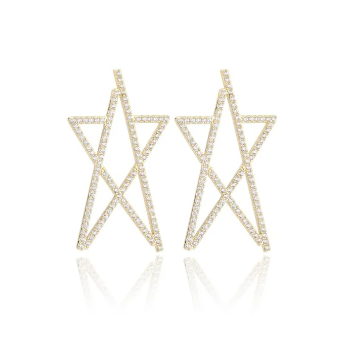 Vintage Havana Earrings Women CLARA Earrings