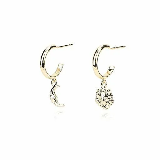 Vintage Havana Earrings Women HARMONY EARRINGS