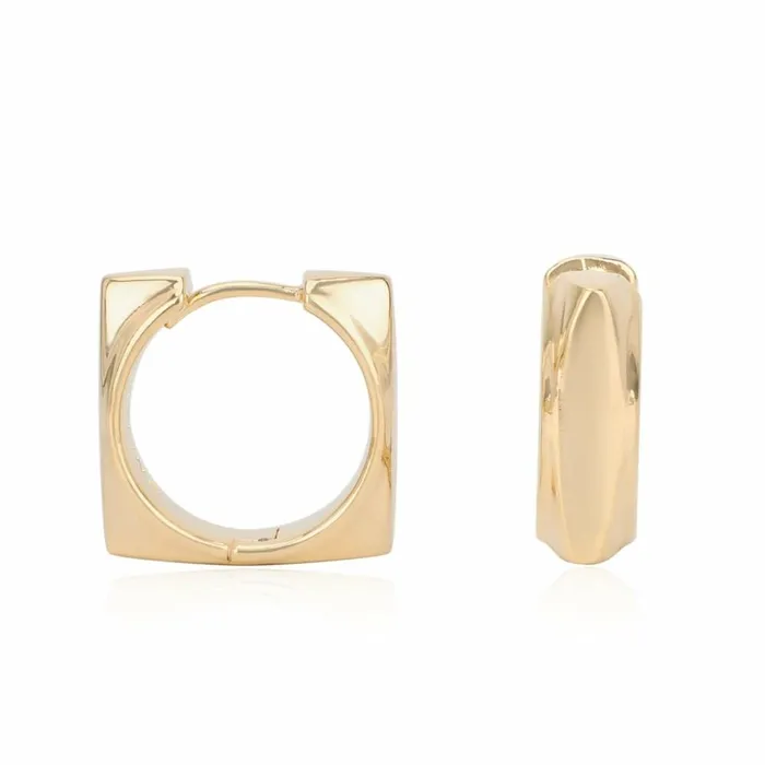 Vintage Havana Earrings Women KENNEDY EARRINGS