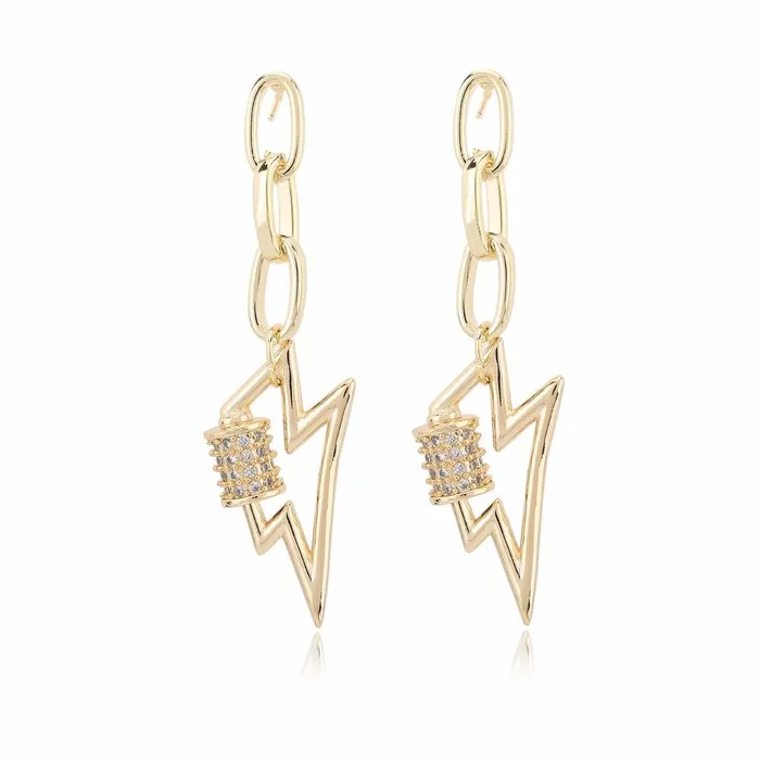 Vintage Havana Earrings Women TORI EARRINGS