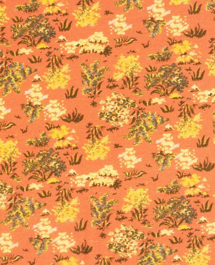 Women039s Hipster Dreamsicle Print ToadandCo Underwear and Accessories