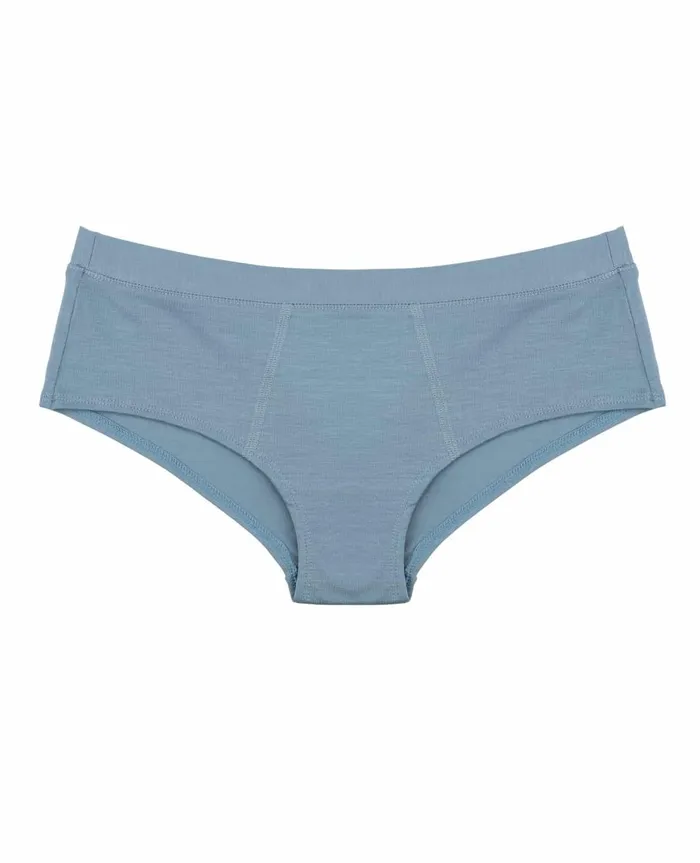 Women039s Hipster Weathered Blue ToadandCo Underwear and Accessories