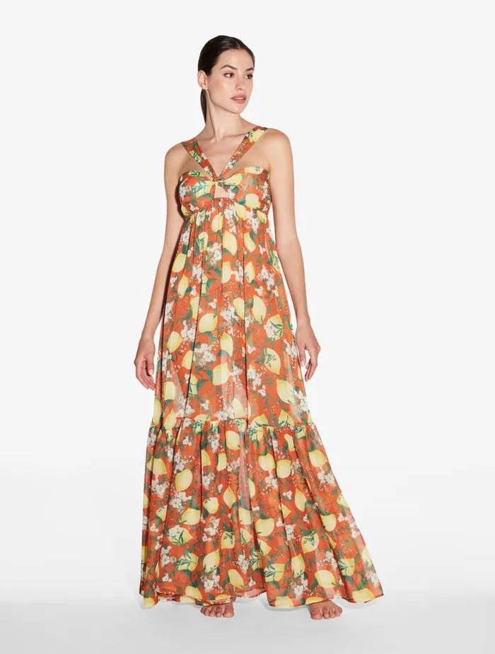Women Beach Coverups La Perla Orange Printed Maxi Dress