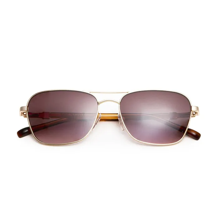 Women Bruno Magli Sunglasses Playa Aviator Sunglasses 8211 Gold Tortoise