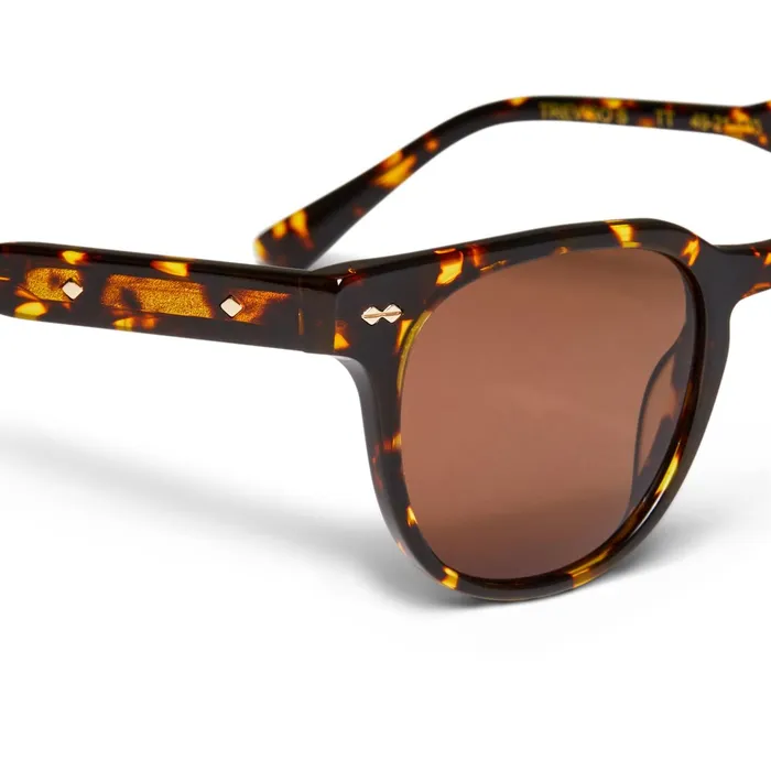 Women Bruno Magli Sunglasses Treviso Sunglasses Tortoise