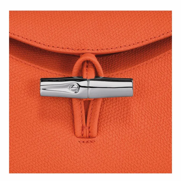Women Le Roseau S Hobo Bag Orange Longchamp Shoulder Bags
